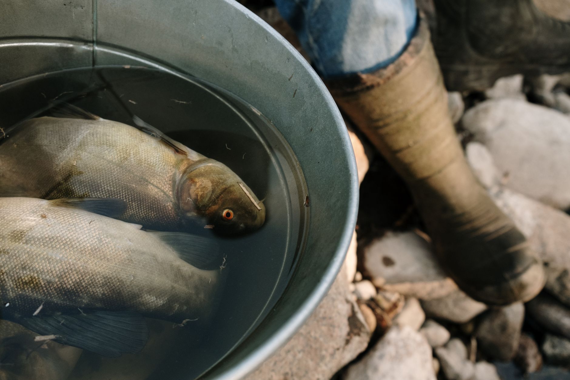 釣り場でPEラインが絡まったときの冷静な対処法